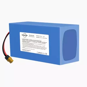 48V7Ah Customized LiFePO4 Battery Pack Power-Model